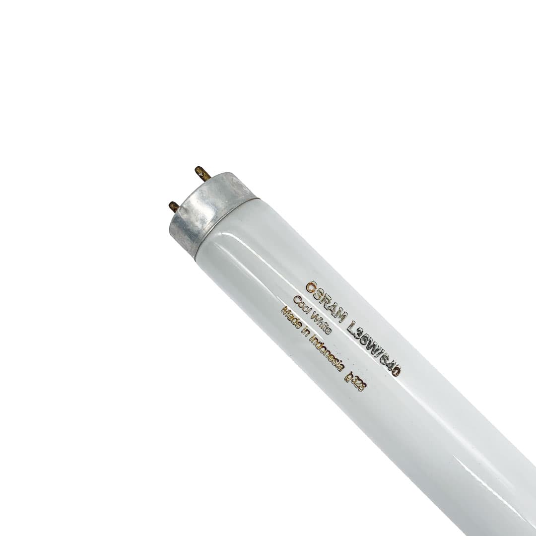 OSRAM Lampe fluorescente T8 36 W 4 000 K linéaire