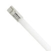 Tubo Fluorescente Neon T2 FM 8W 840 TLB - IdeaDiLuce