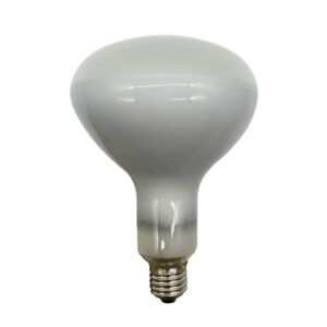 Lampada Alogena R125 105W E27 TLB - IdeaDiLuce