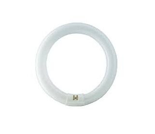 Circolina 22W 350 Blacklight G10q SYLVANIA - immagine 3