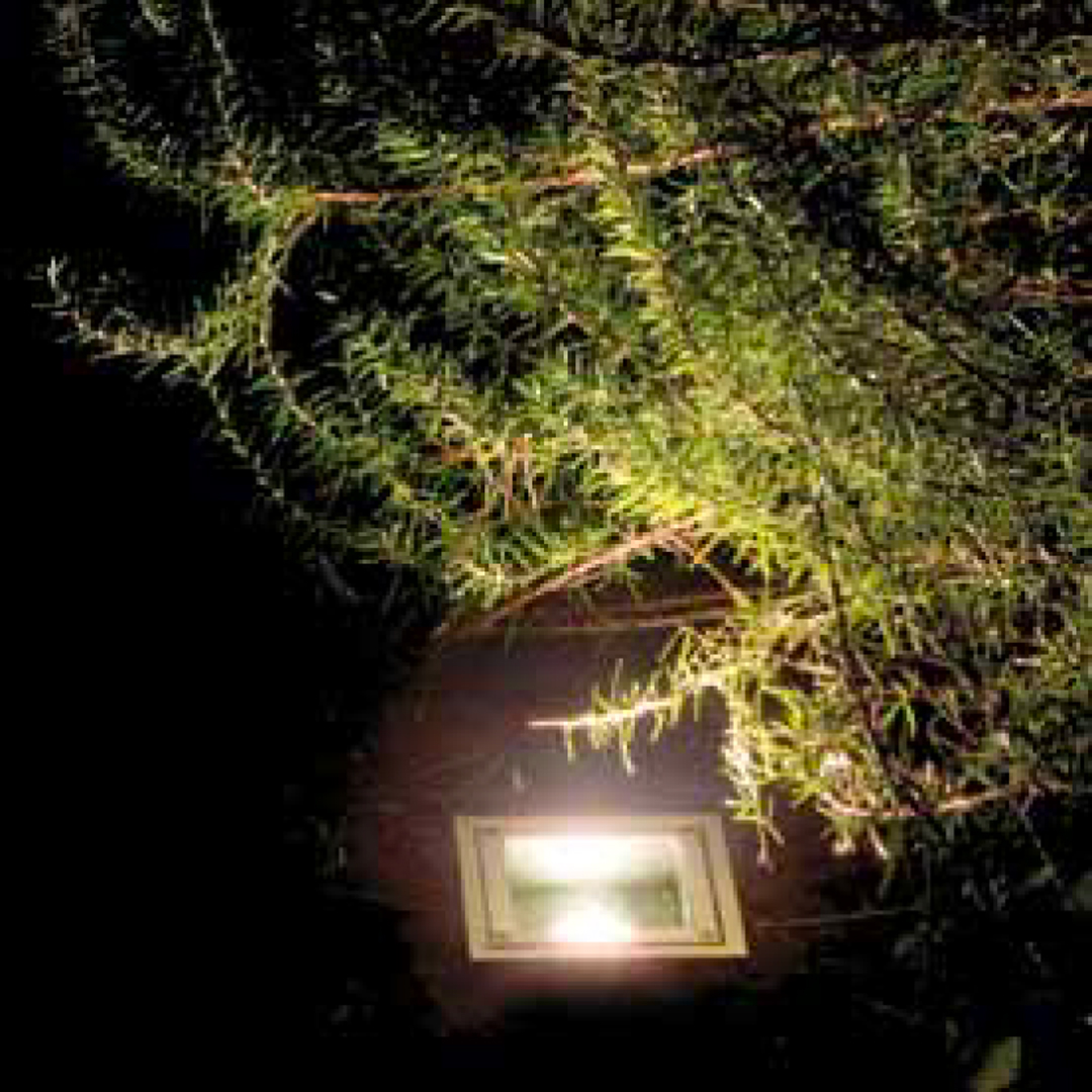 Terra - immagine 3
